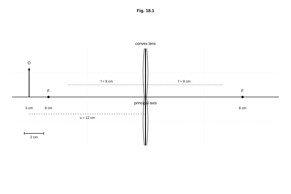 Diagram for Q18 (SEC1 Science)