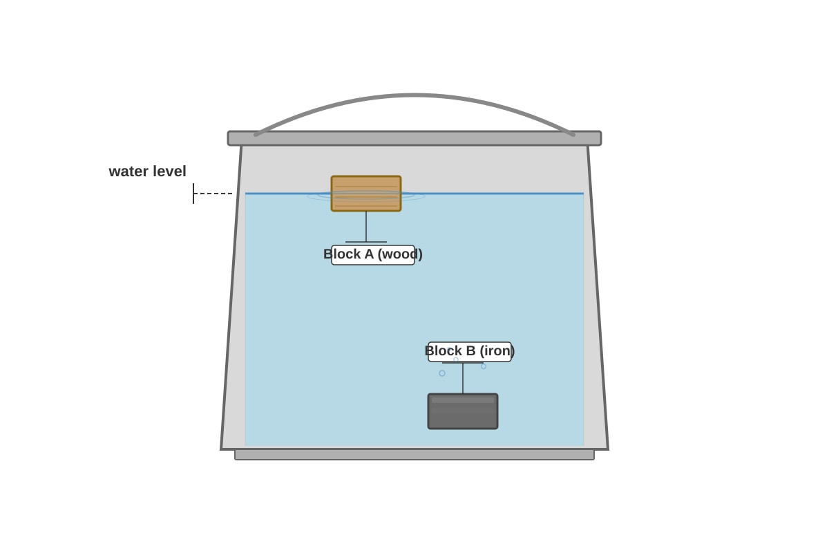 Figure for Q17 (P5 Science)