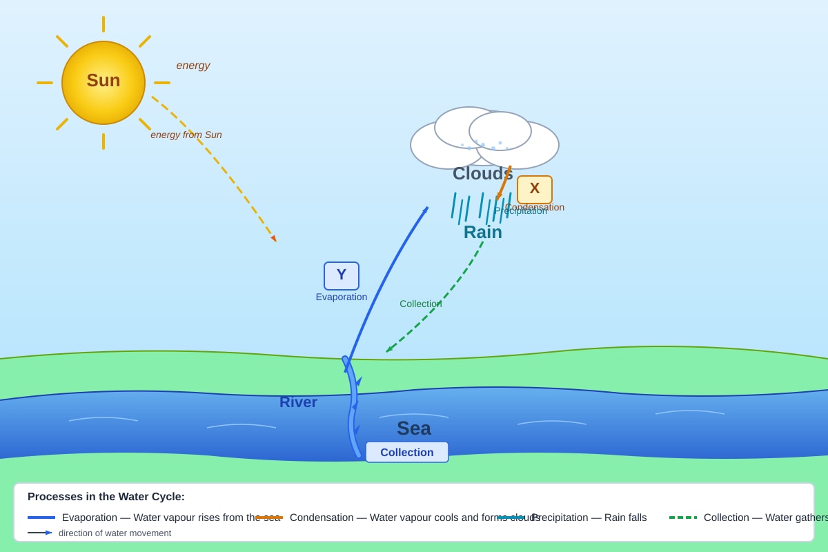 Diagram for Q14 (P6 Science)