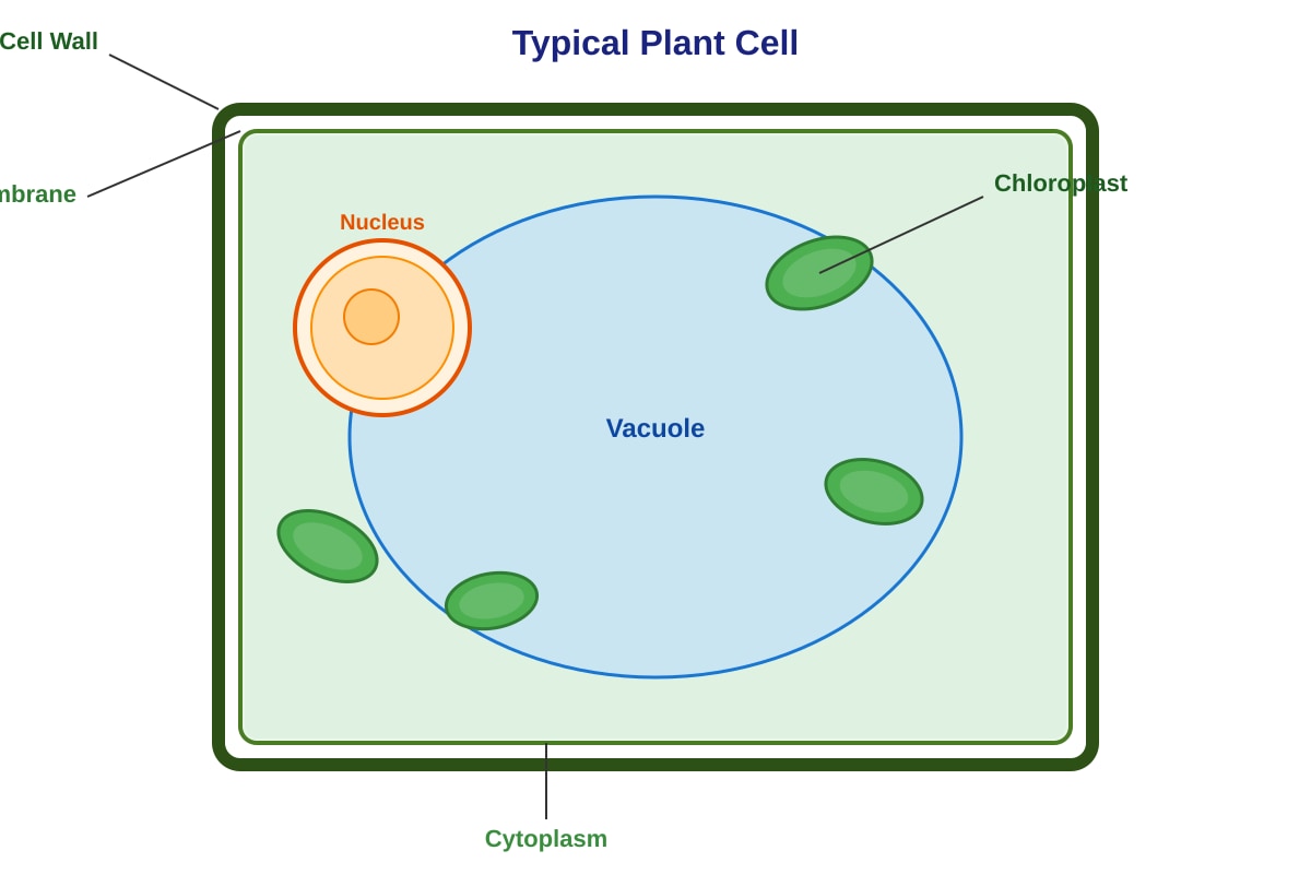 Diagram for Q2 (SEC2 Science)