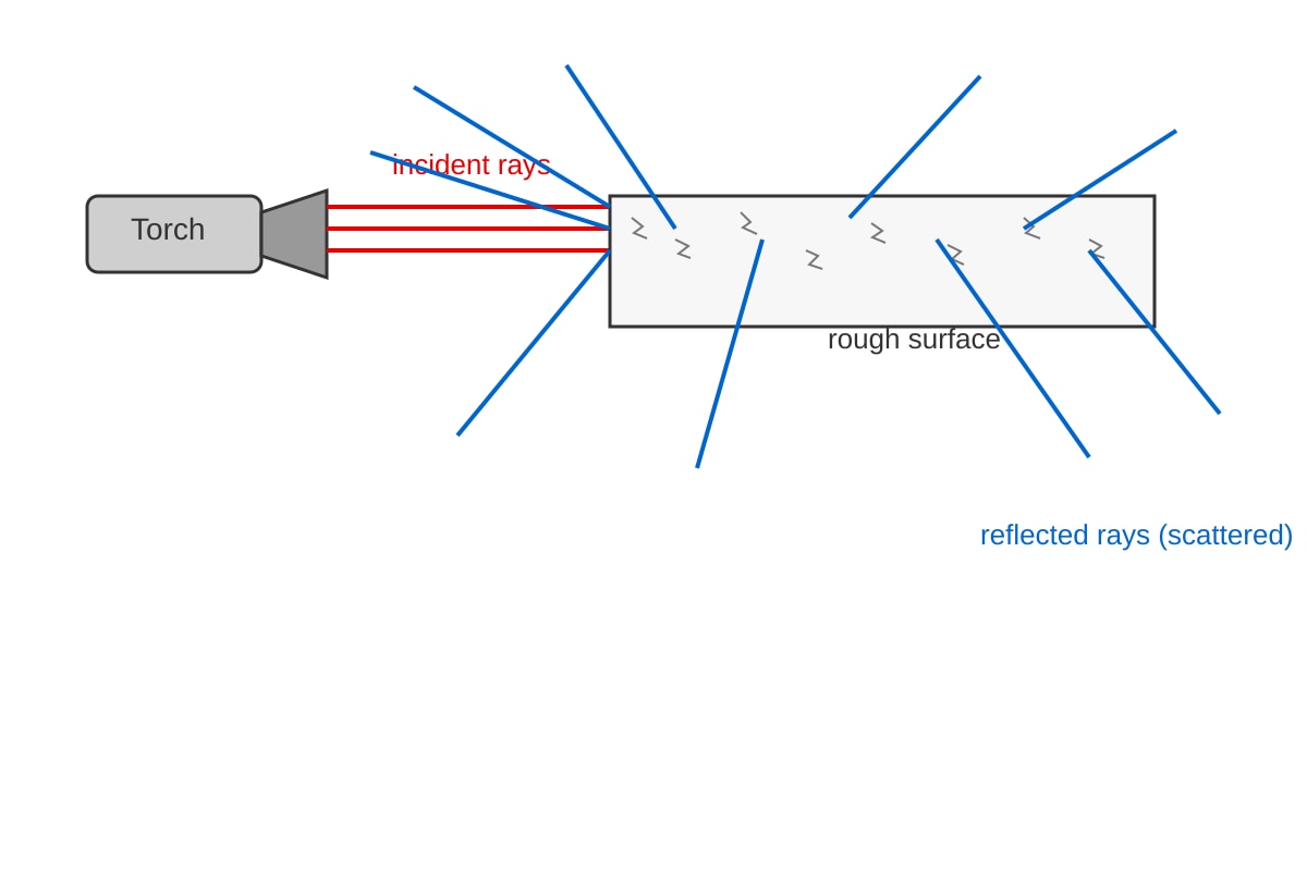 Diagram for 11 (SEC1 Science)