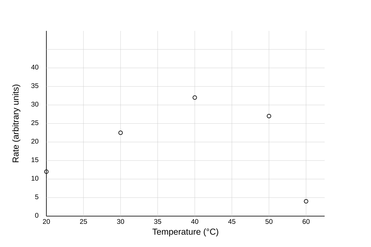 Graph for Q19 (SEC3 Biology)