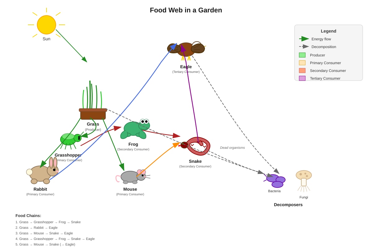 Diagram for Q7 (P6 Science)