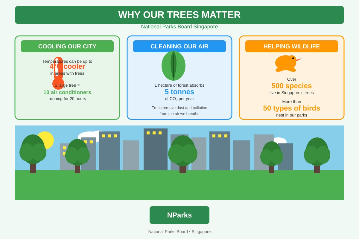 Infographic for Q15-Q20 (P5 English)