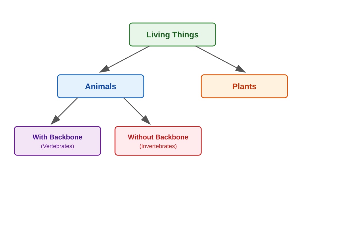 Diagram for Q2 (P4 Science)