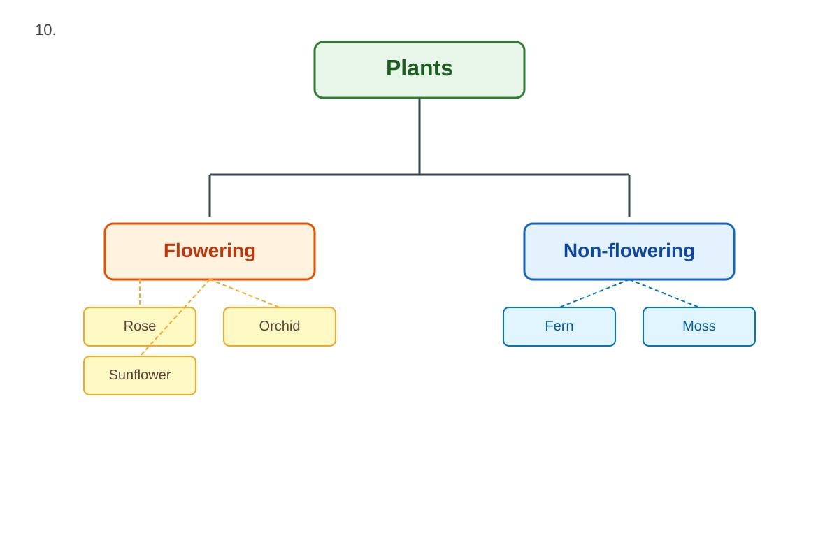 Image for placeholder 2 (P6 Science)