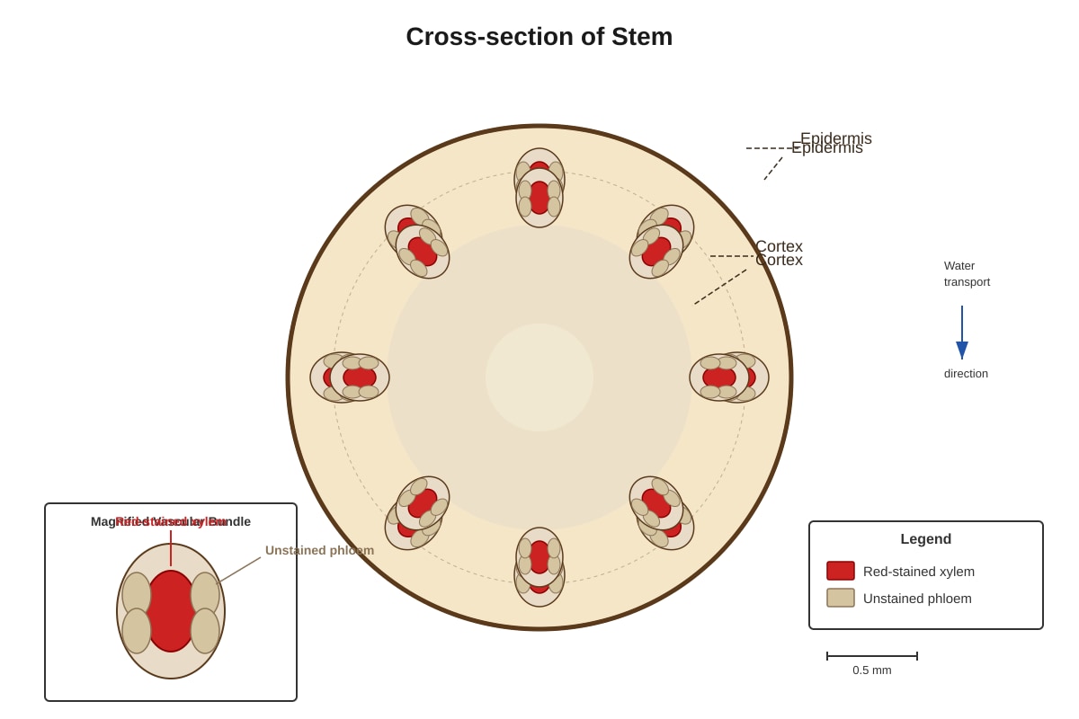 Diagram for Q26 (P4 Science)