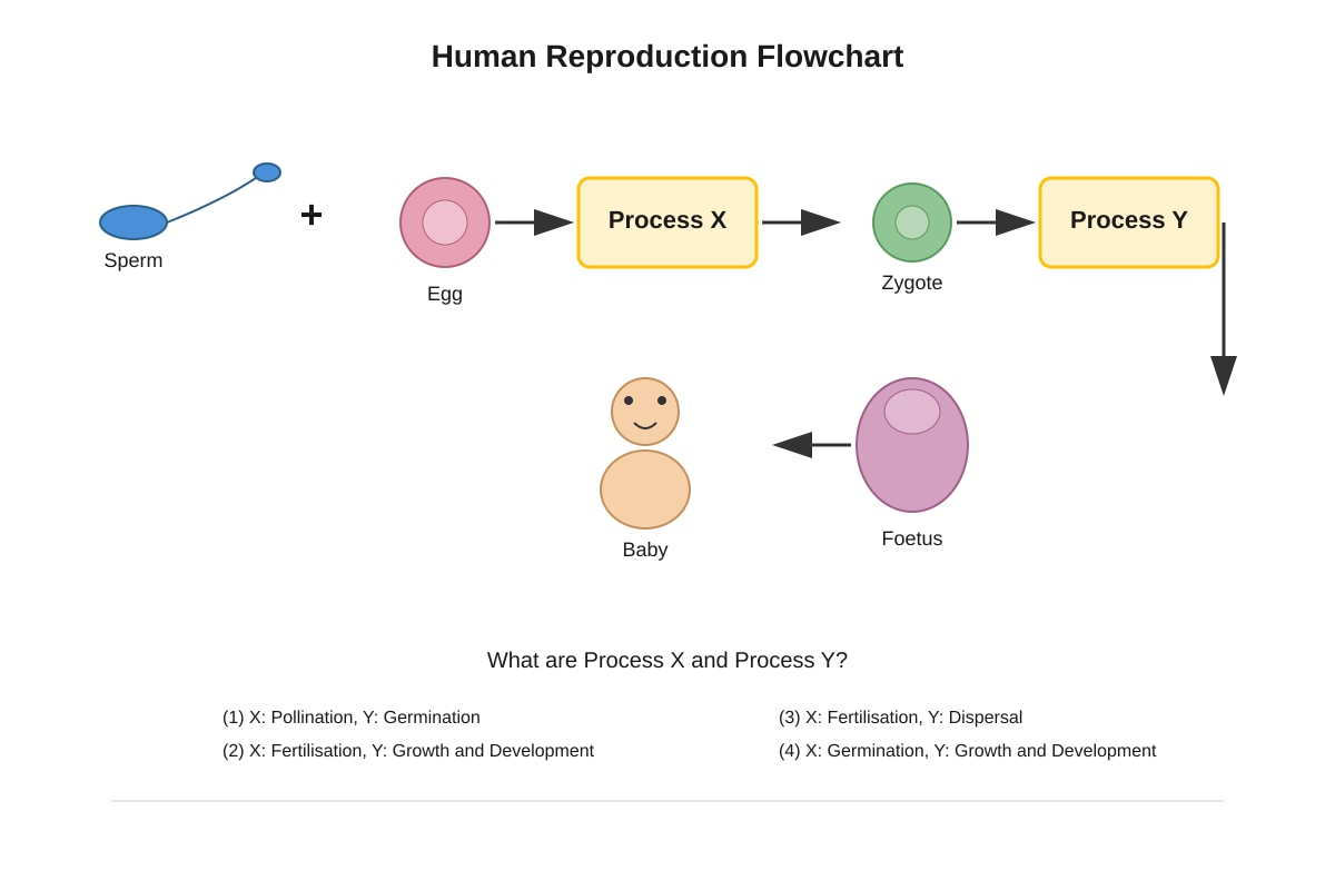 Figure for Q4 (P5 Science)