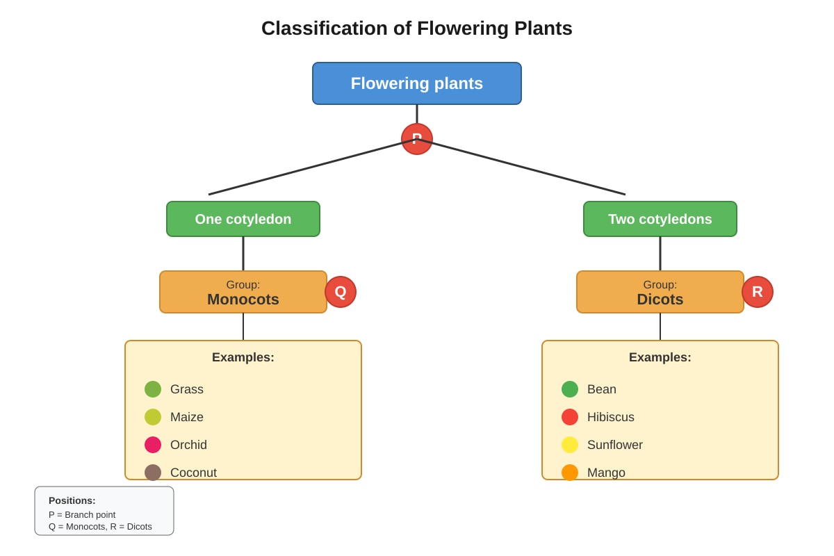 Diagram for Q19 (P4 Science)