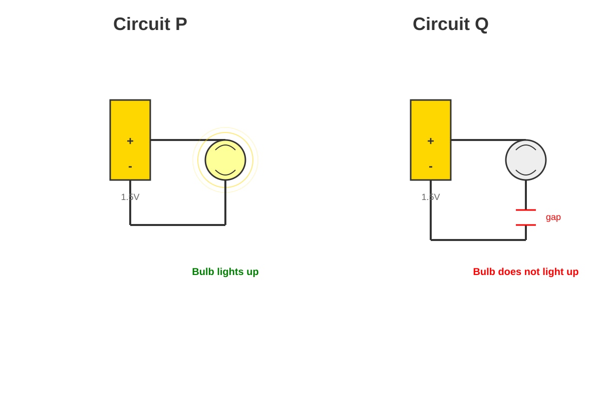 Diagram for Q16 (P3 Science)