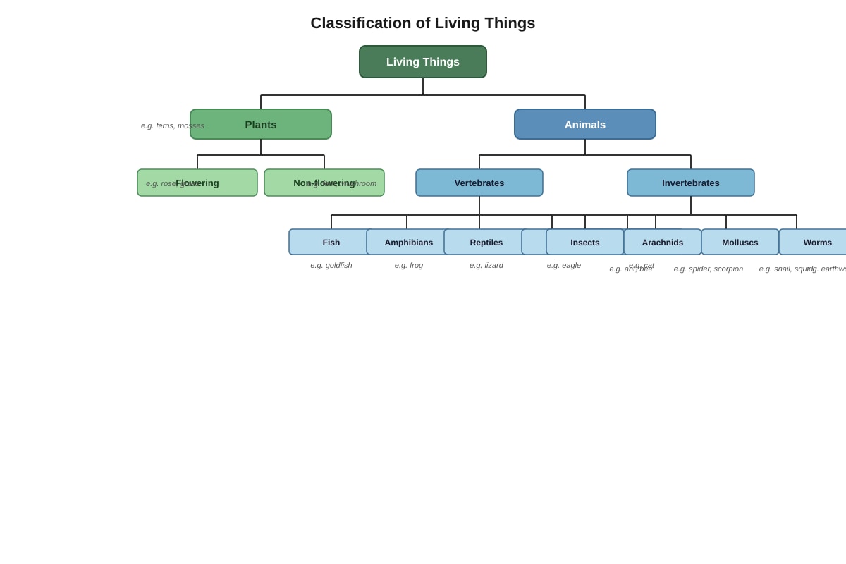 Diagram for Q30 (P6 Science)