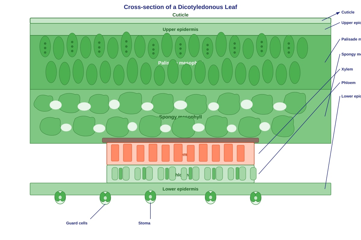 Diagram for Q4 (SEC1 Science)