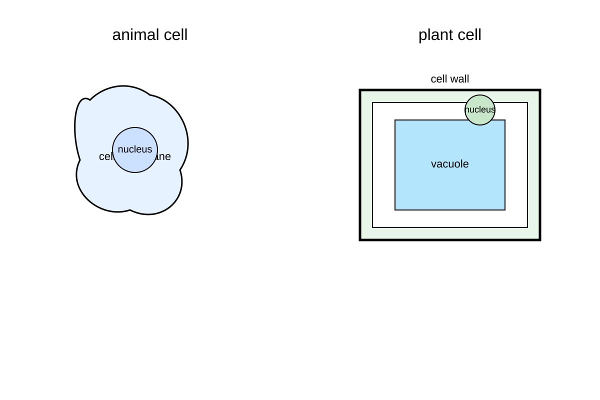 Diagram for Q14 (SEC4 Combined Sci Bio)