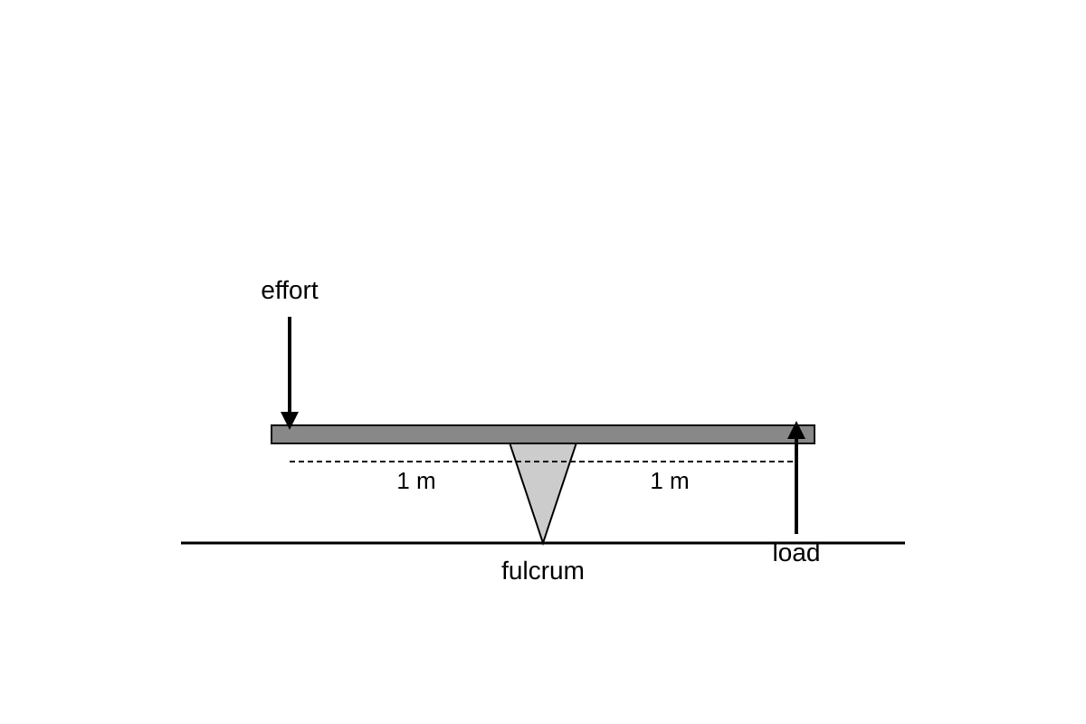 Diagram for Q19 (SEC2 Science)