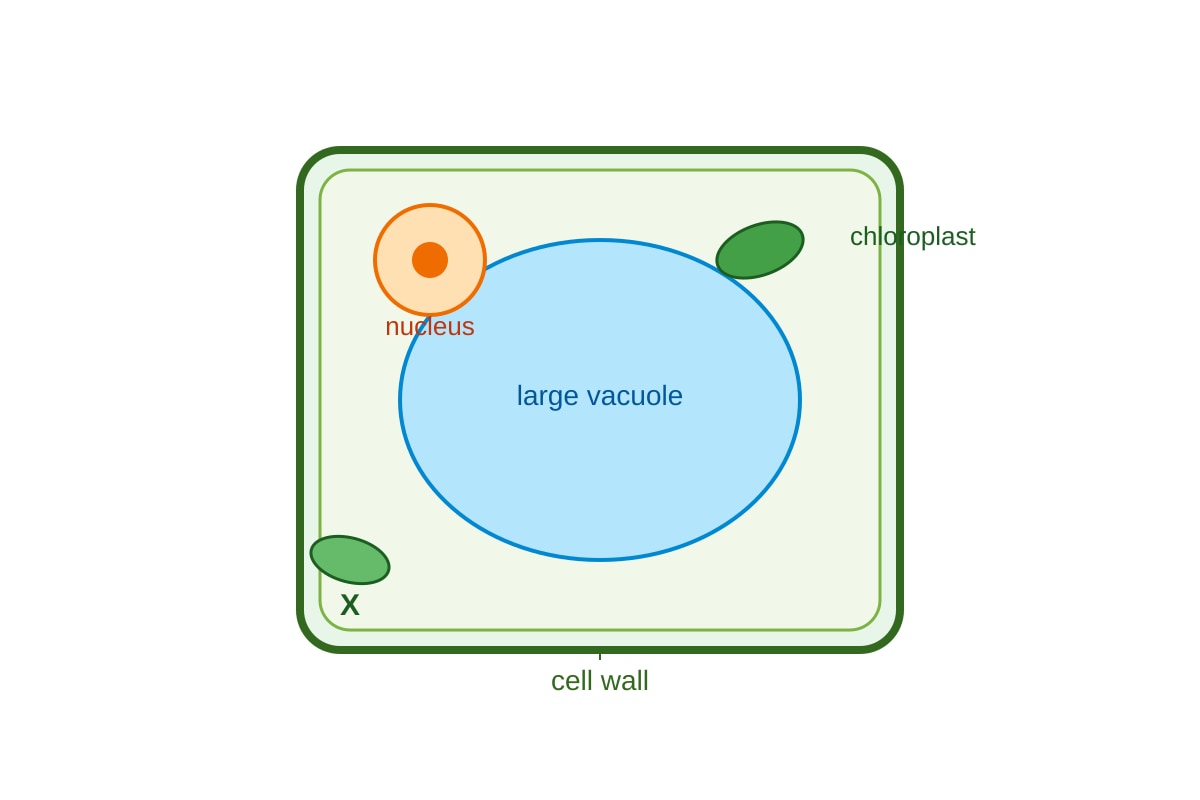 Diagram for Q3 (SEC4 Combined Sci Bio)