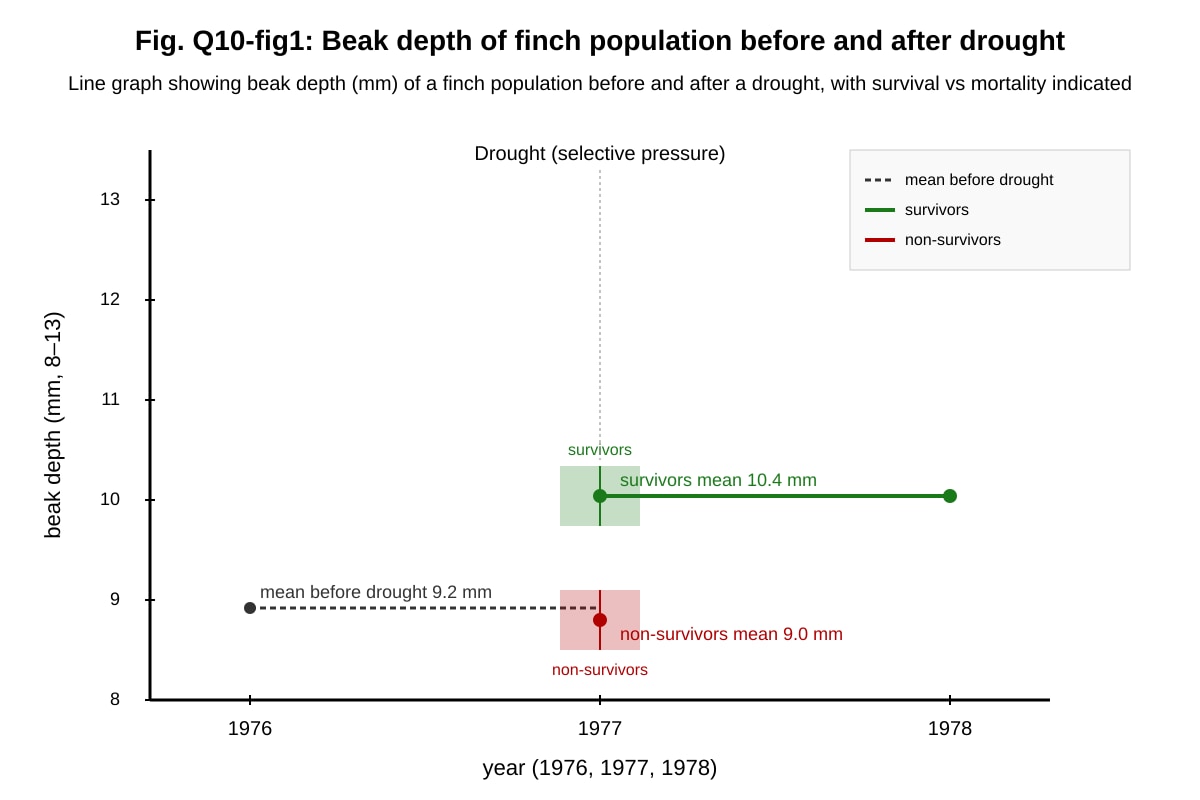 Graph for Q10 (ALEVEL Biology H2)