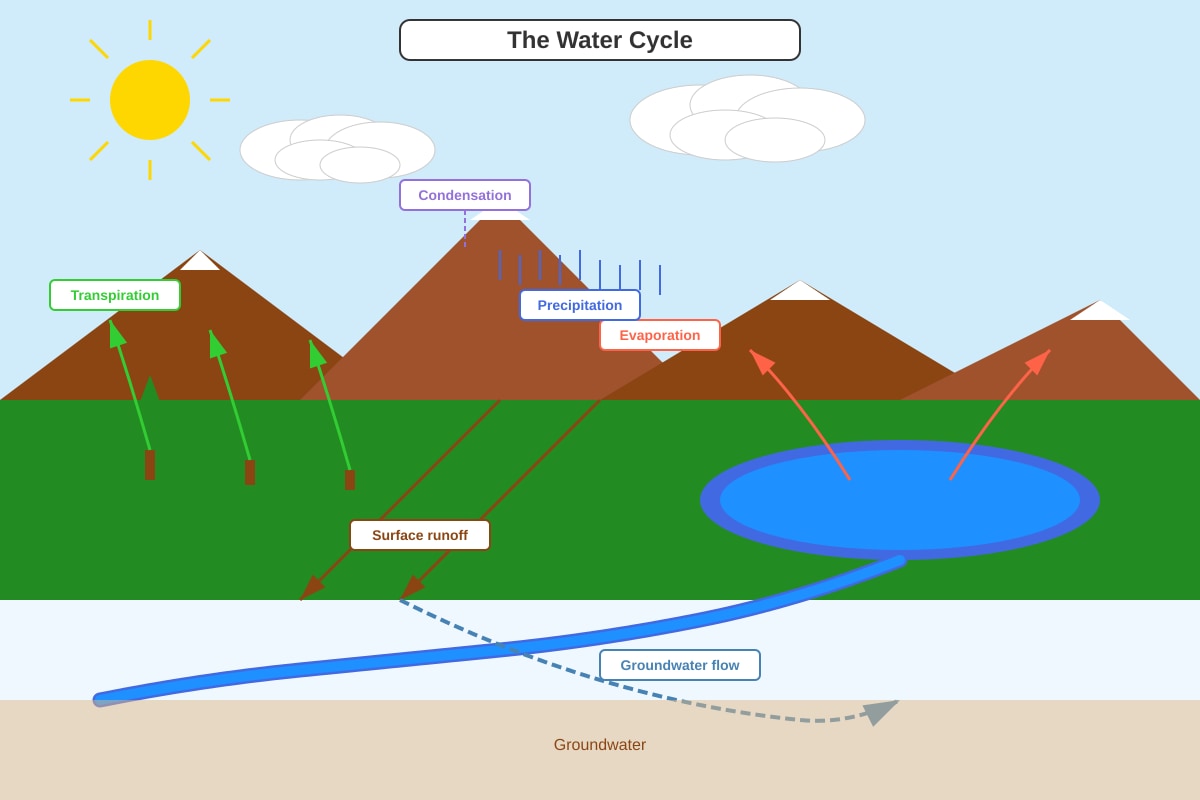 Diagram for Q36 (P5 Science)