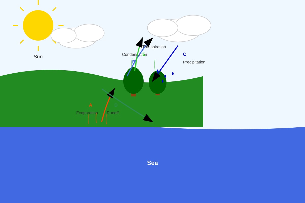 Diagram for Q20 (P5 Science)