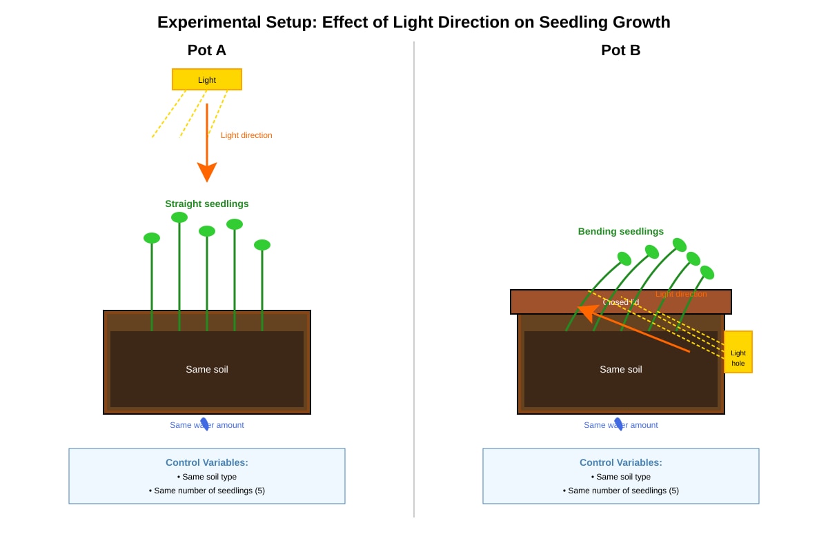 Diagram for Q30 (P6 Science)