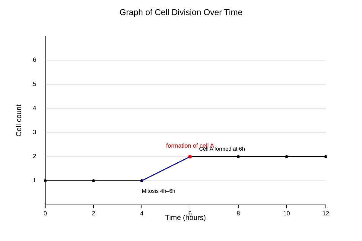 Graph for Q20 (SEC4 Pure Biology)