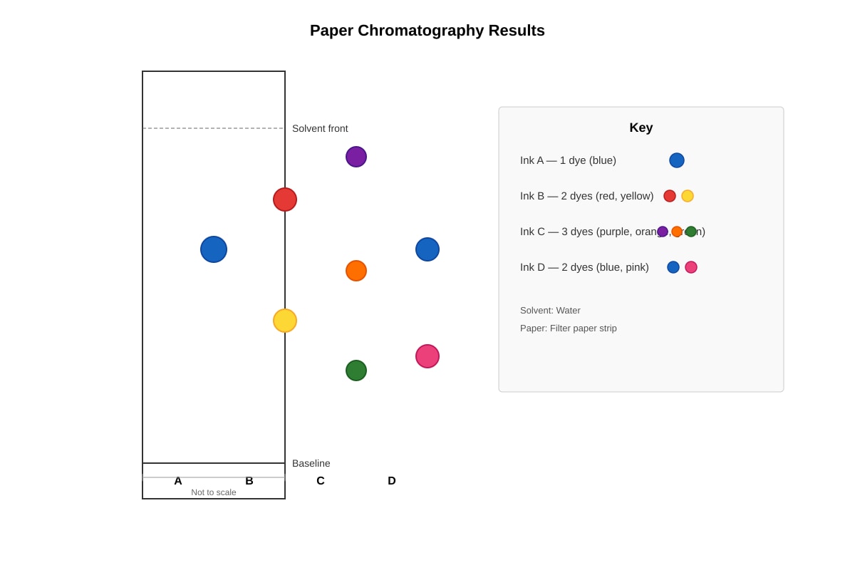Diagram for placeholder 5 (SEC1 Science)
