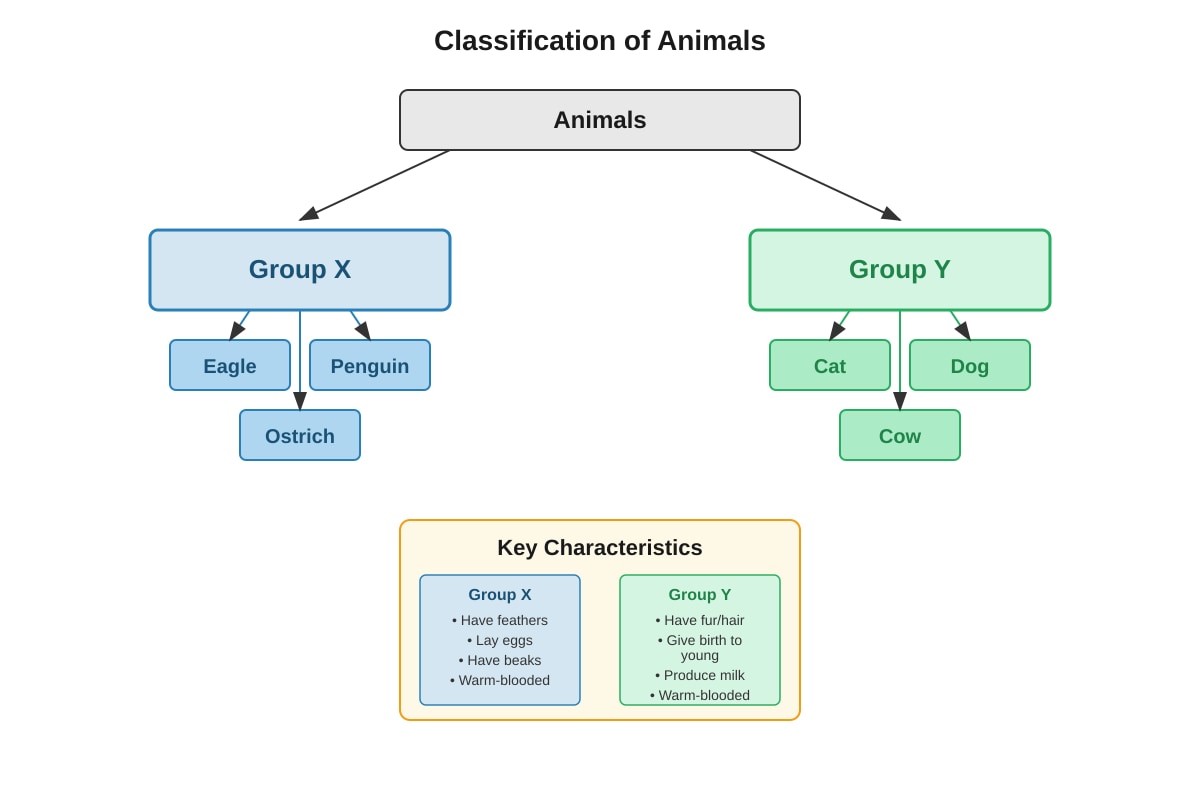 Diagram for Q16 (P5 Science)