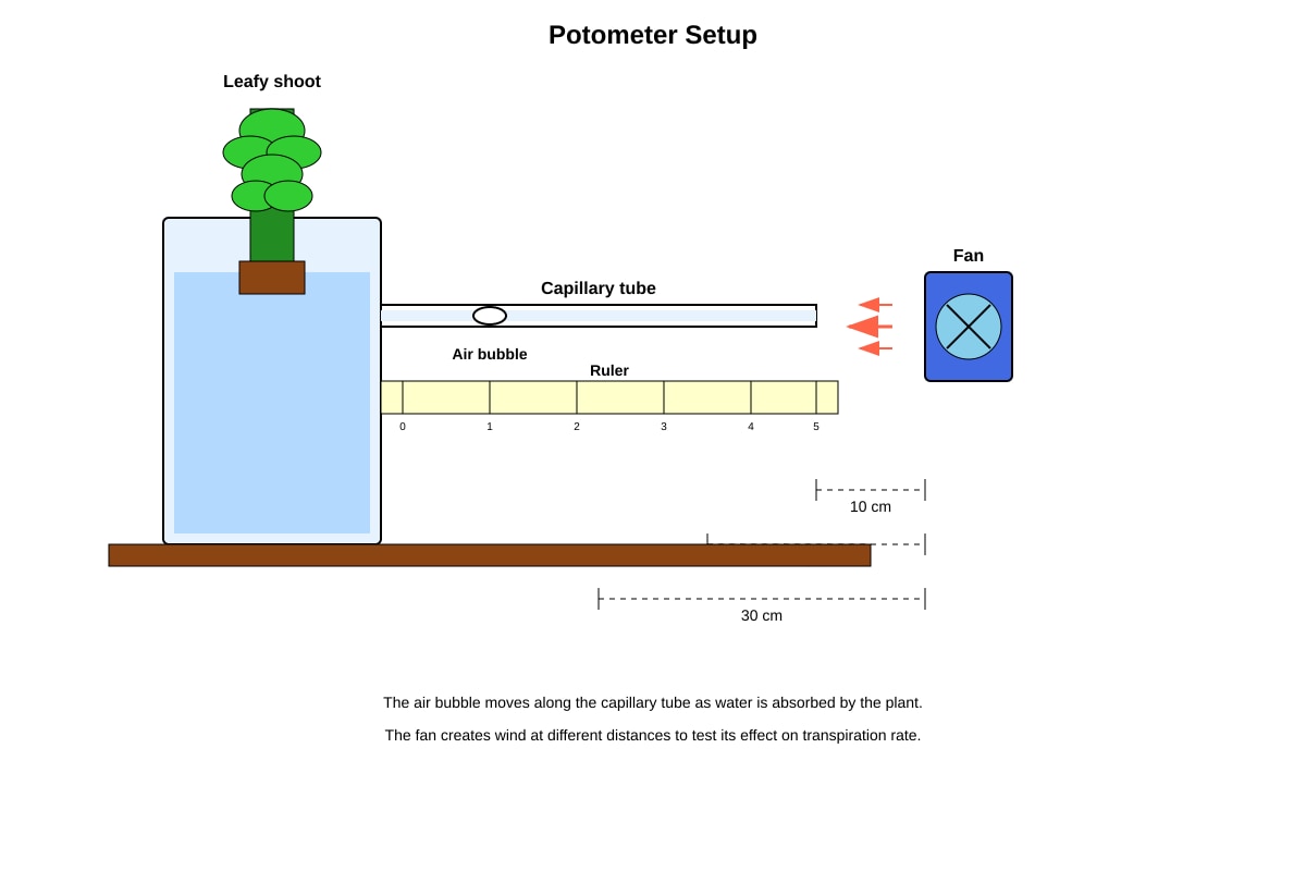 Diagram for Q22 (P5 Science)
