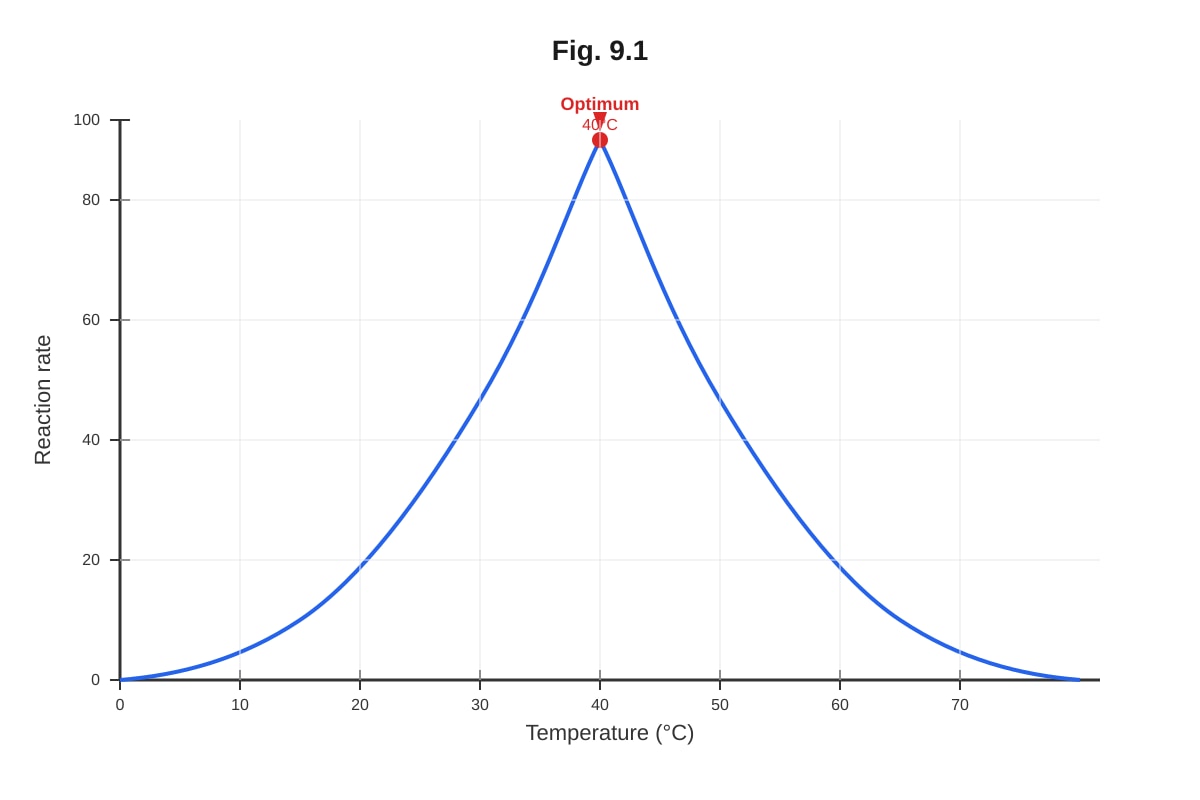 Graph for placeholder 5 (ALEVEL Biology H2)