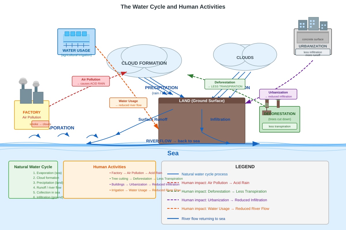 Diagram for Q27 (P6 Science)