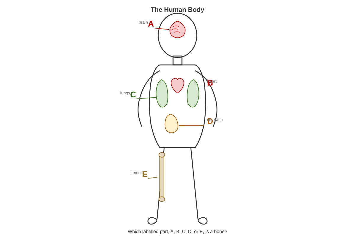 Diagram for Q9 (P3 Science)