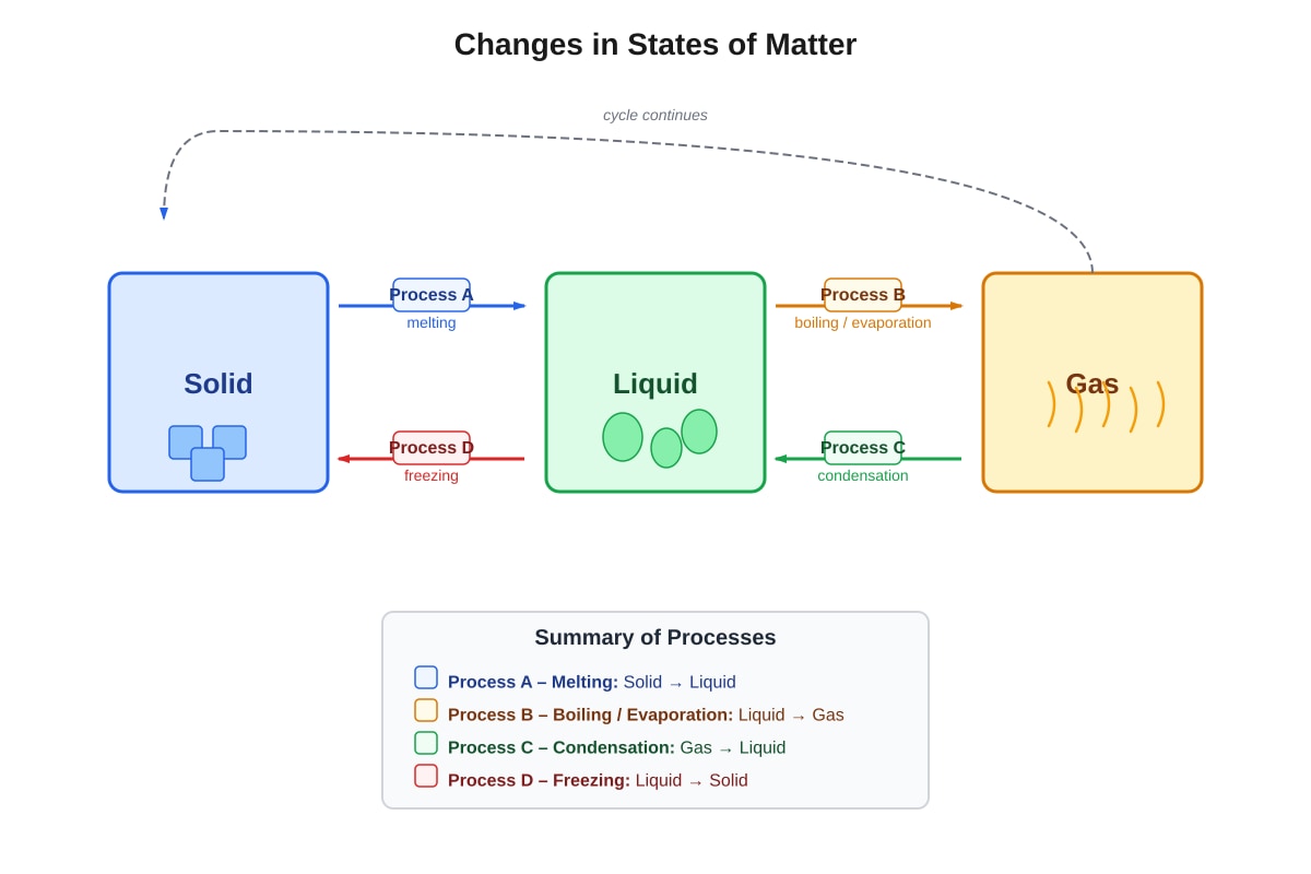 Diagram for Q17 (P4 Science)