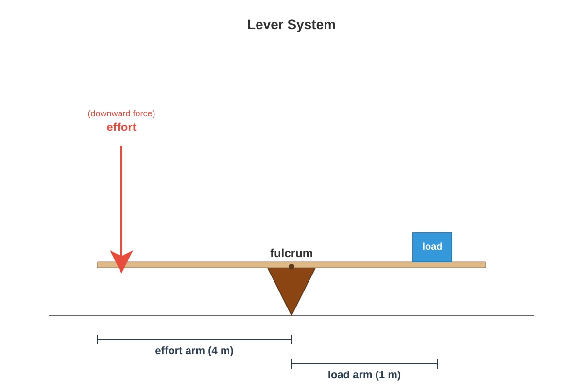 Diagram for Q25 (P5 Science)