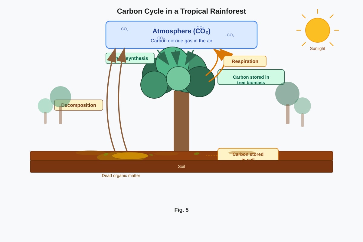 Diagram for Q17 (SEC2 Geography)
