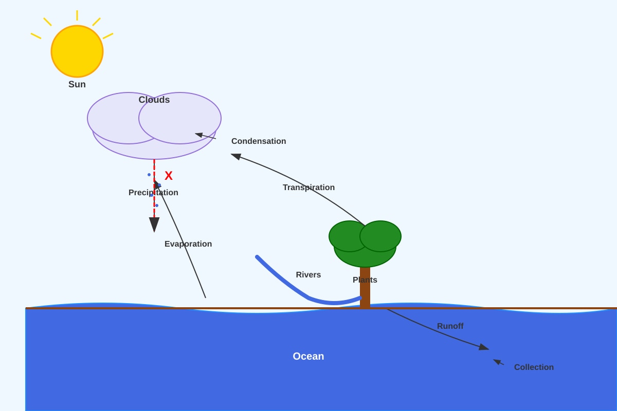 Diagram for Q9 (P5 Science)