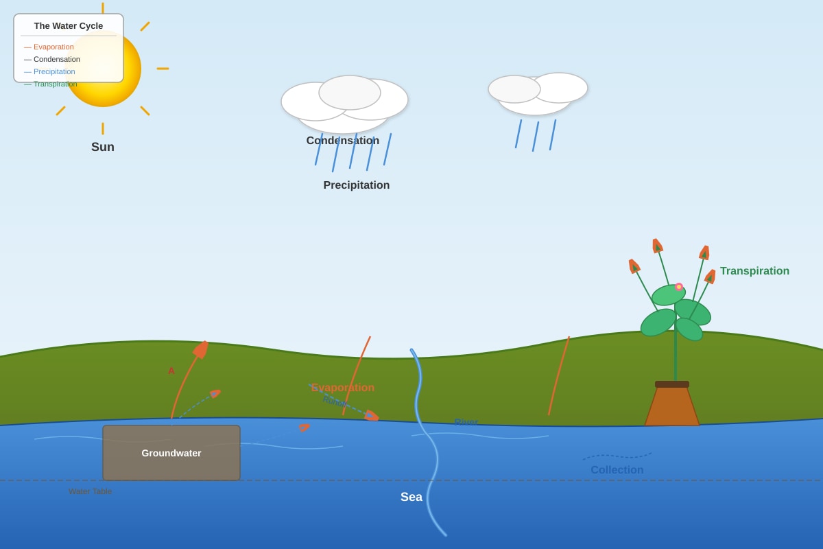 Diagram for Q32 (P5 Science)