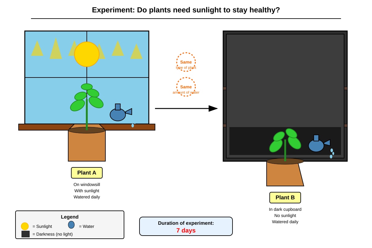 Experimental Setup for Q13 (P3 Science)