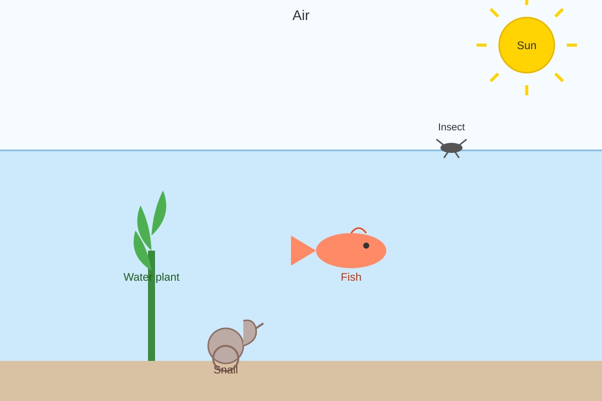 Diagram for Q15 (SEC2 Science)
