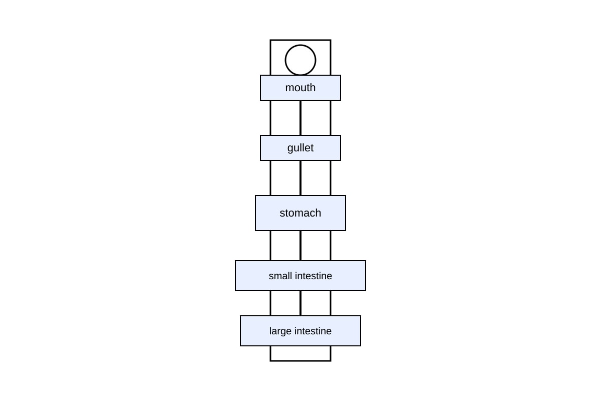 Diagram for Q19 (P4 Science)