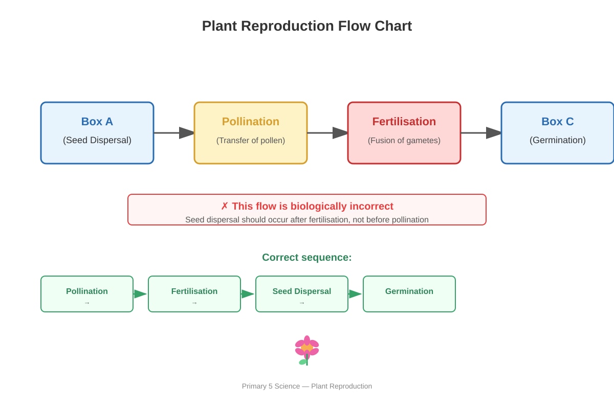 Diagram for placeholder 2 (P5 Science)