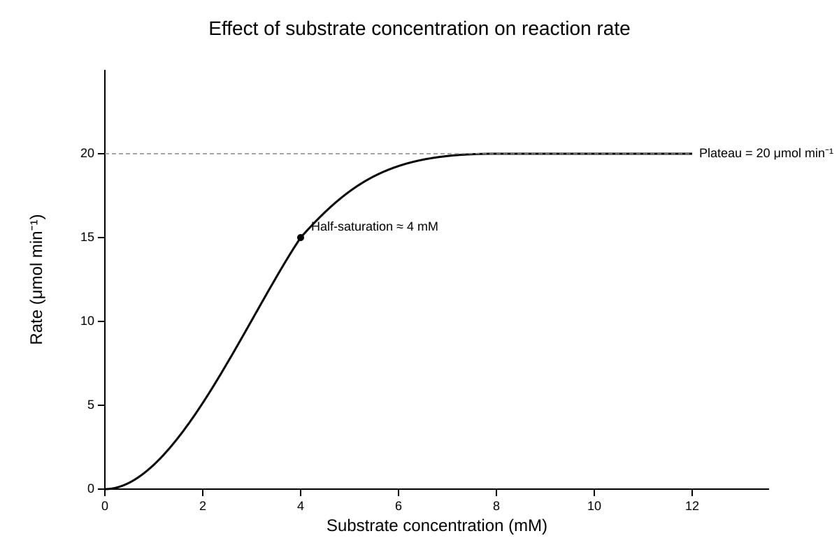 Graph for Q10 (ALEVEL Biology H2)