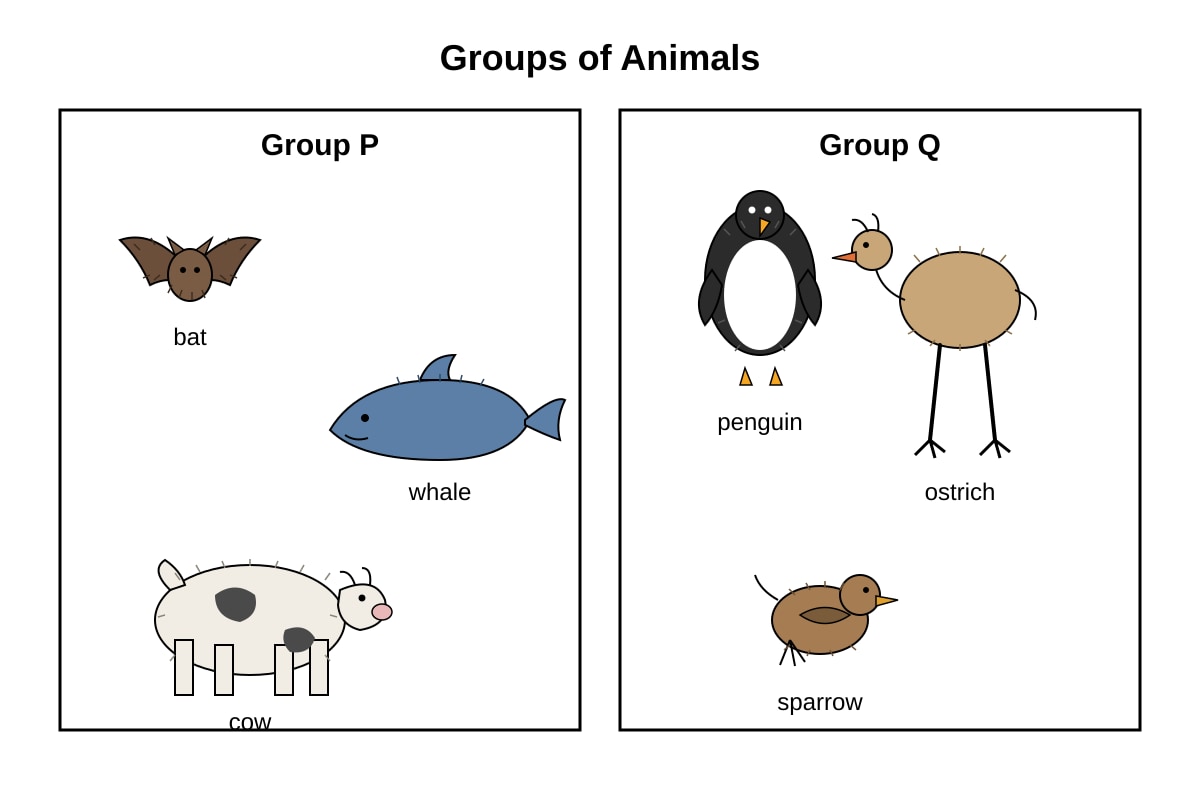 Chart for Q11 (P5 Science)