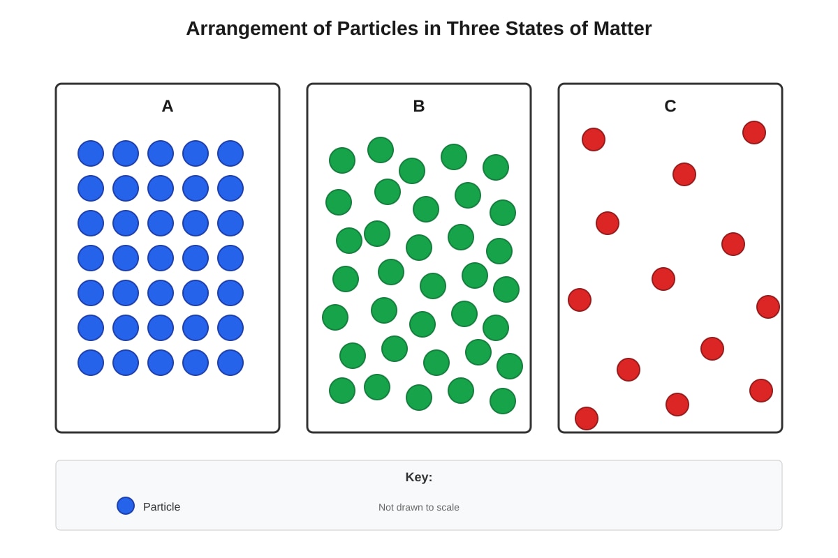 Diagram for placeholder 3 (SEC1 Science)
