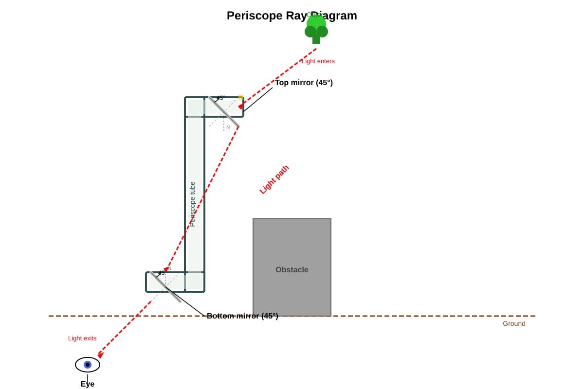 Diagram for Q12 (P6 Science)