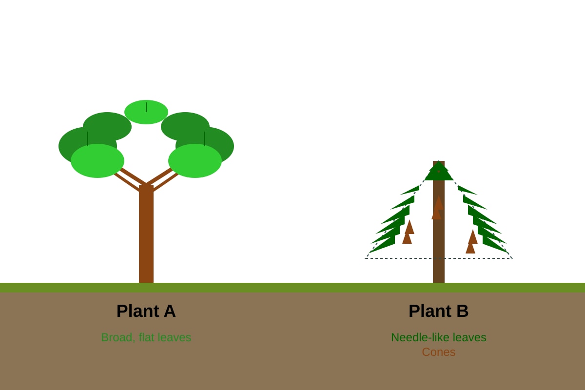 Diagram for Q21 (P6 Science)