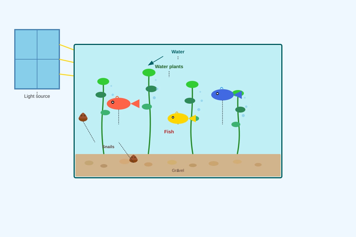 Diagram for Q22 (P6 Science)