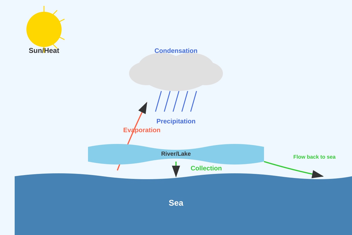 Diagram for Q9 (P5 Science)