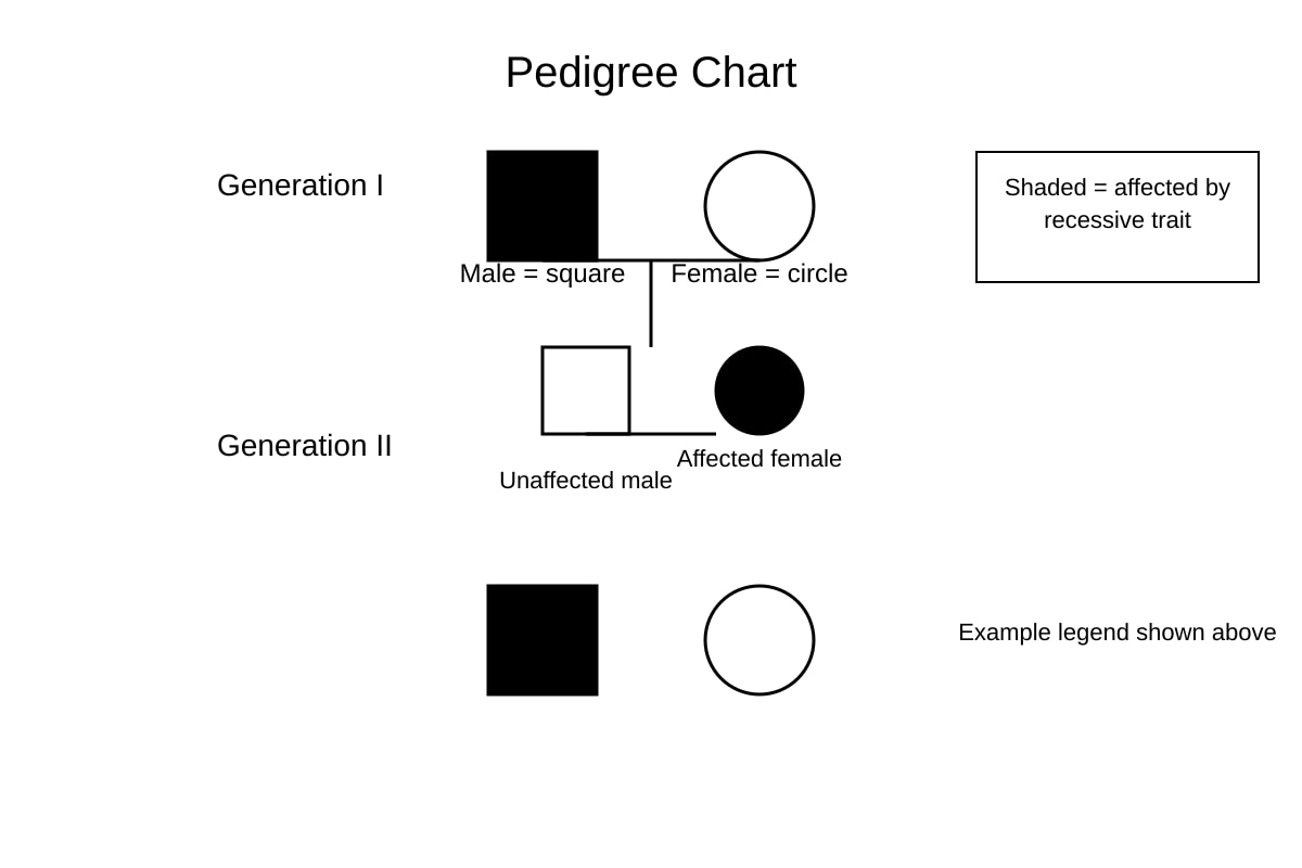 Diagram for Q12 (OLEVEL Biology)