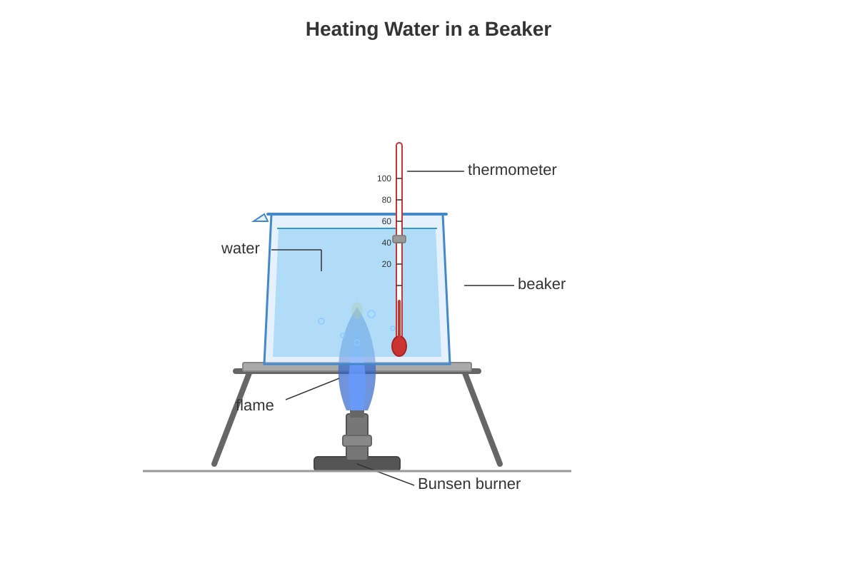 Diagram for Q20 (P3 Science)