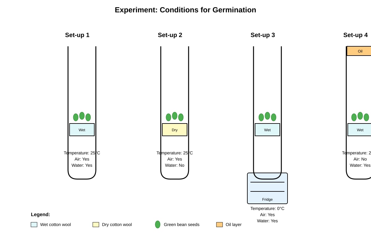 Experimental Setup for Q33 (P5 Science)