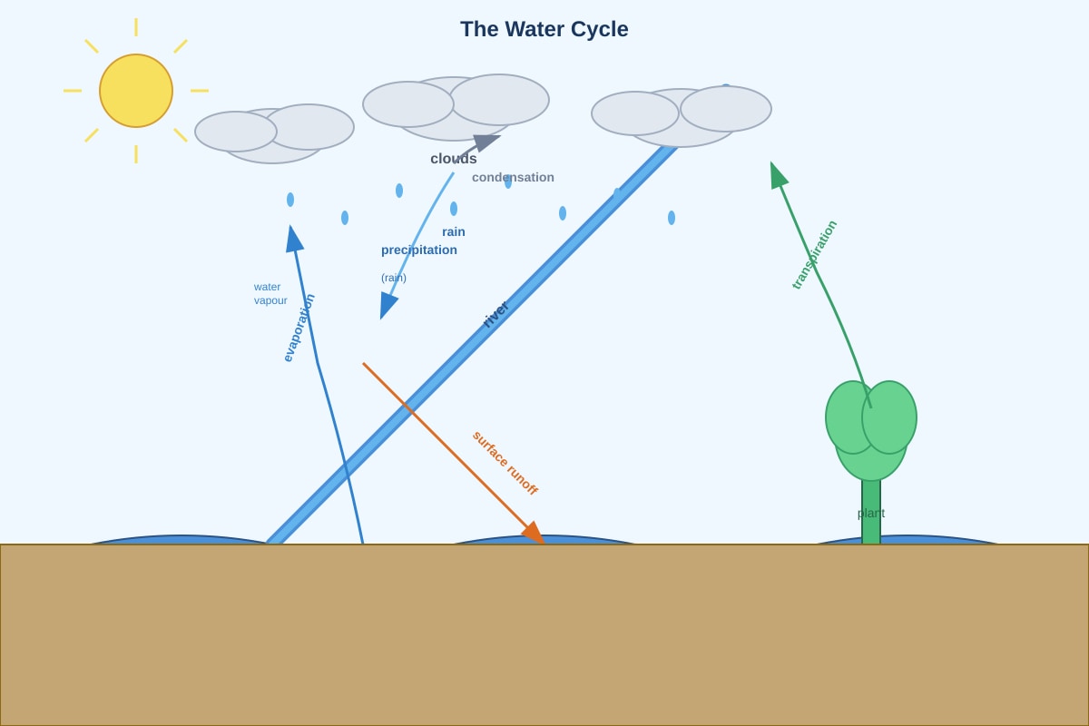 Diagram for Q9 (P5 Science)